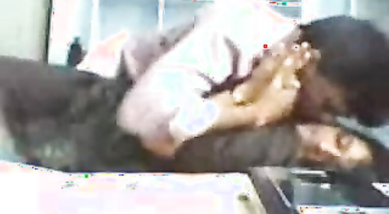Pritampur school teacher fucked by her colleague in school library recorded by school peon on his mobile cam.