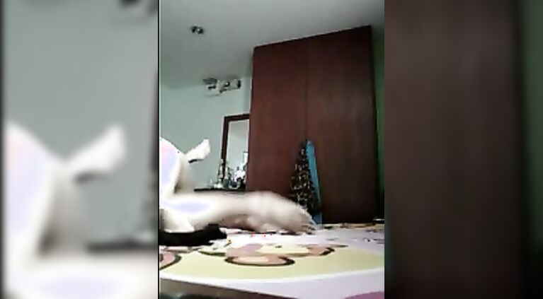 Sexy girl getting her juicy melons licked hard as she scream in pleasure and fucked with legs wide apart.
