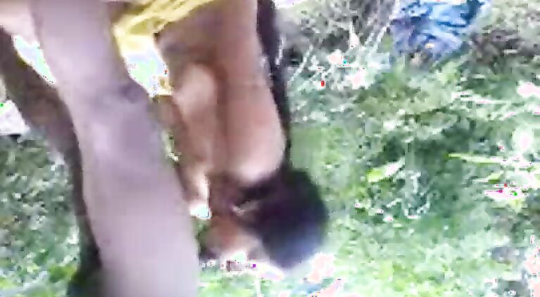 Bhabhi Bj Wild Sex In Forest - Movies.