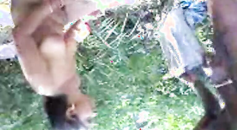 Wild horny indian couple on picnic sucking and fucking each other in forest and recorded.