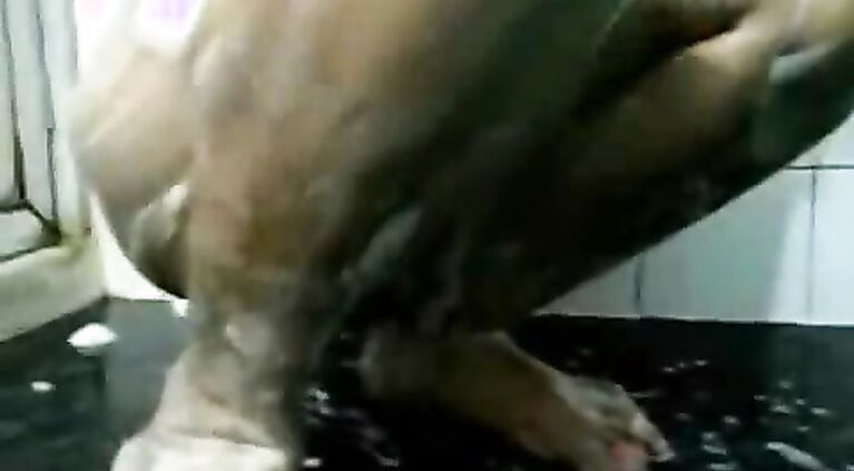 Gujarati Bhabhi Shower - Movies.