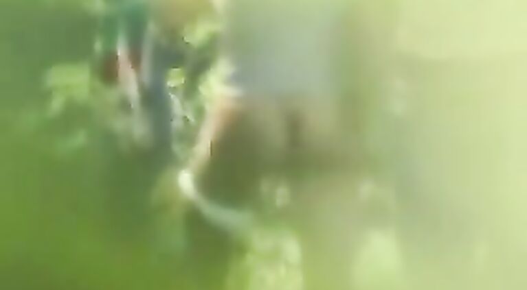 B-grade Indian softcore movie of horny bhabhi trying to convince her young devar to have affair