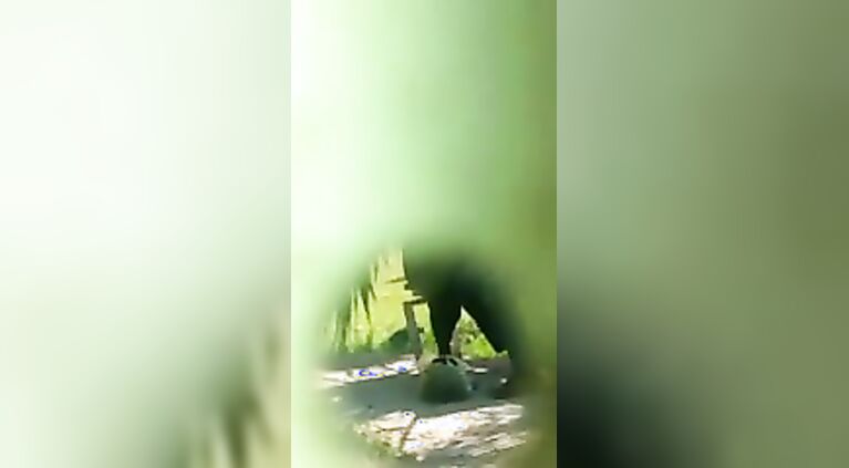 Paki Bhabhi Jerking In Park - Movies. video2porn2