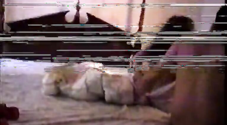 hot video, try to upload some longer videos