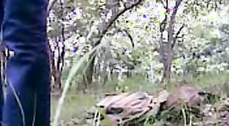 Kolkata Couple L1eaked MMS - Movies. video2porn2