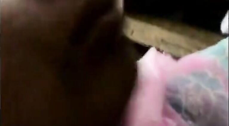 South Bhabhi Blowjob Sex - Movies.