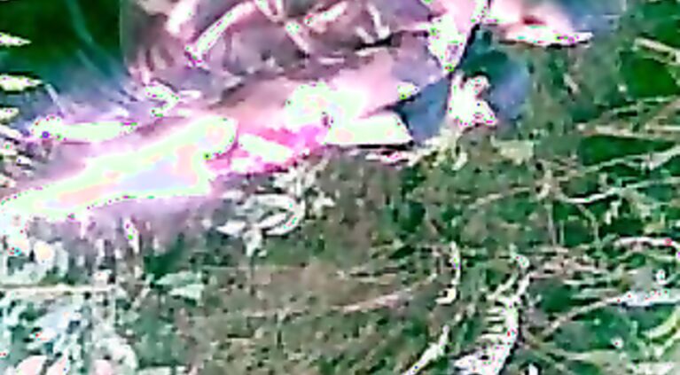 Assam Couple Outdoor Fuck - Movies.