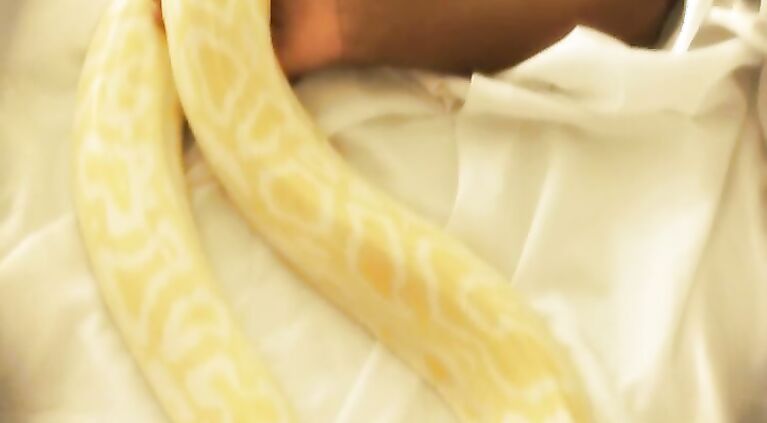 Asha Playing With Snake - Movies.