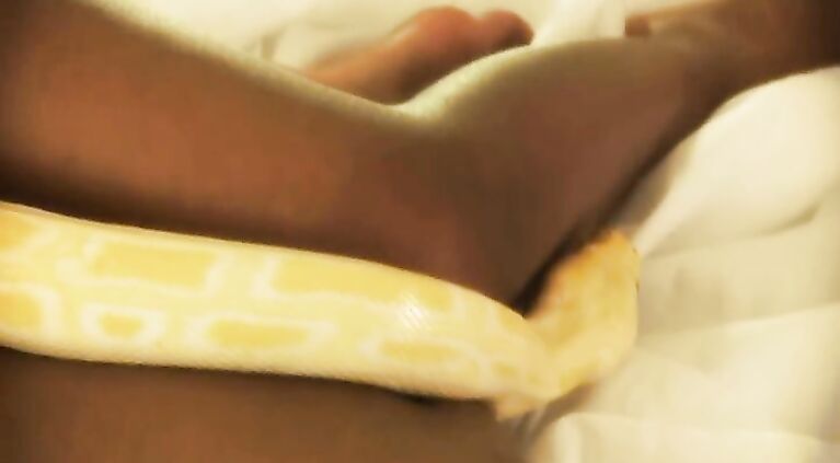 Asha Playing With Snake - Movies.
