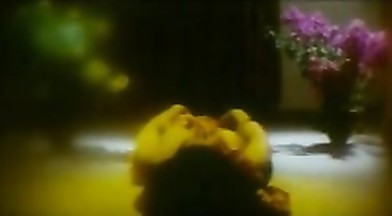 Indian Babe Rani Gets Naked - Movies.
