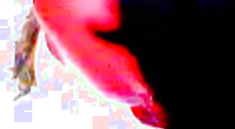 Tamil Pakistani guy making out with Korean girl pics part 4