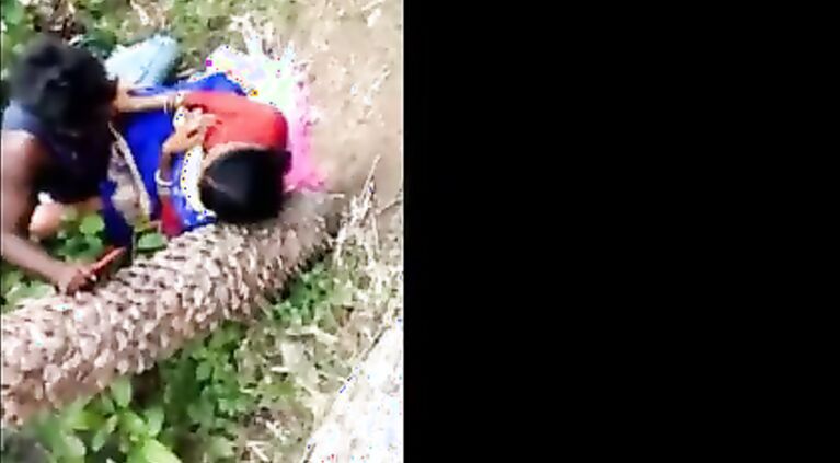 Indian tamil Randi outdore group sex