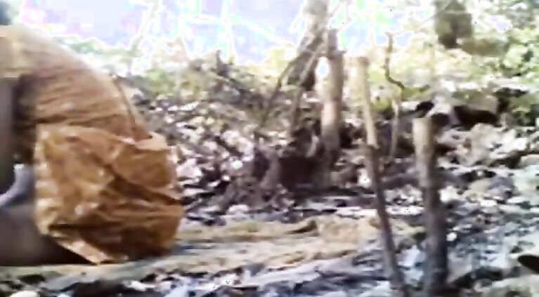 jungle tamil