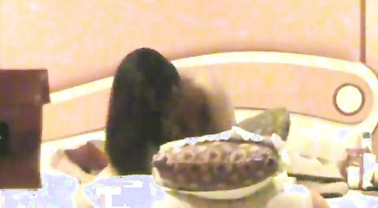 My Tamil Wifes Cute Buxomy Sis rides me like a horny Bitch Blowjobs DeepThroats and drinks my Cum , on hidden Cam Intense Moaning