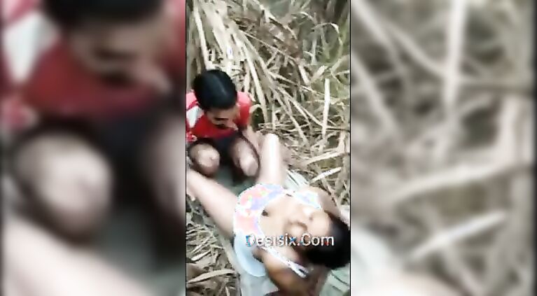 desi call girl fucked in jungle