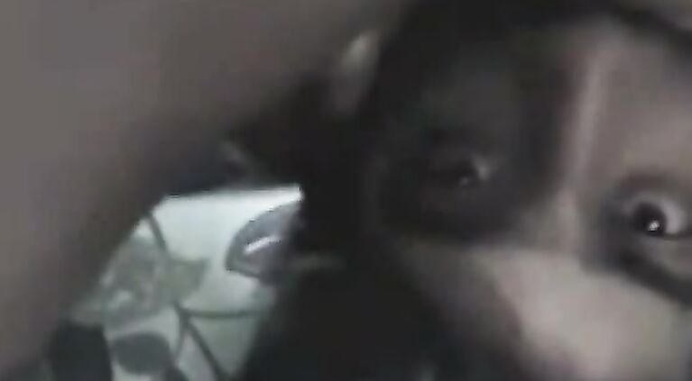 057003259 Tamil Tamil Gf Fucked exposed