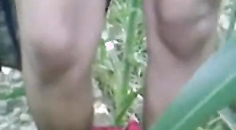 desi outdoor sex in field