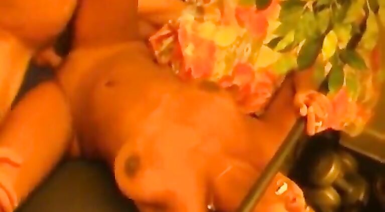 Desi babe fucked by white dick