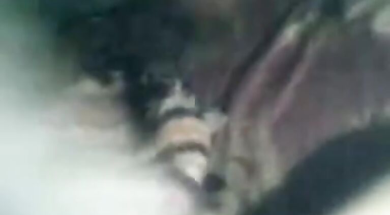 Bangla BF Suck Boobs and Fuck Girlfriend » Tamil MMS Sex Porn Clips