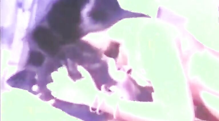 Hardcore Fucking Tamil B Grade Vid