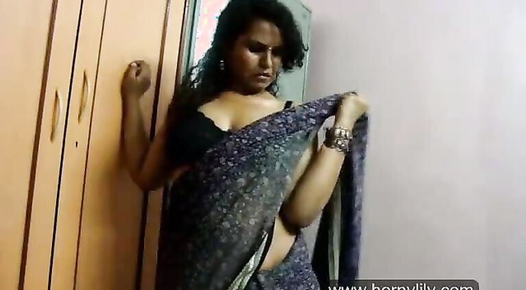 South Desi Shows Sari