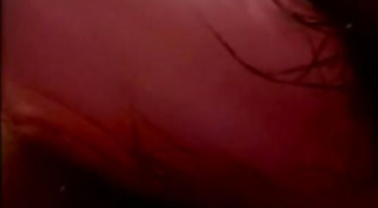 Gf Porn Romantic Love Of Tamil Lesbian Girls