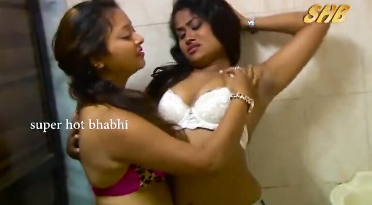 Desi Homely Sex Movies Cute Desi stepaunty Romancing With Sexy boy