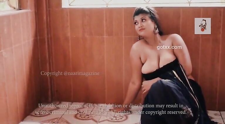 Benzir Islam 01 Brown Saree - Naari Magazine Sexy Modeling-3