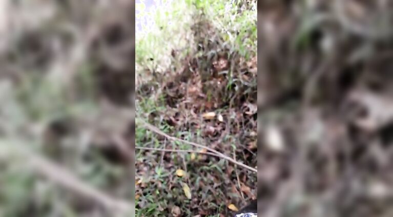 Risky jungle sex -horny sexy girl fuck with stranger