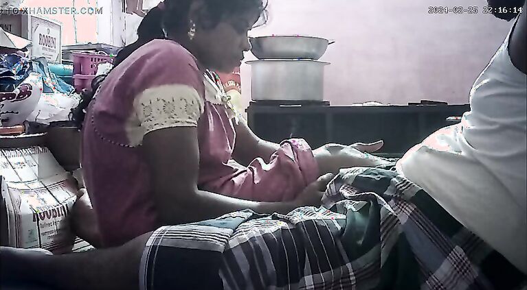 Desi village house housewife romantic kissing butt