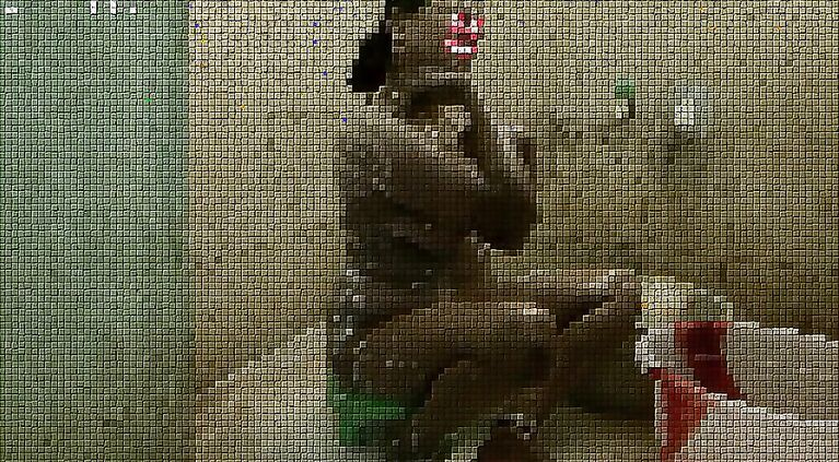Indian lady bath clip