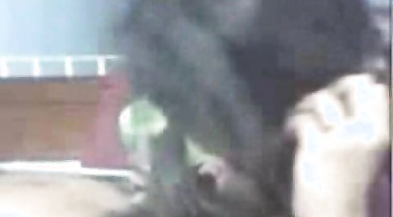 Archana Bhabhi Blowjob - Movies.
