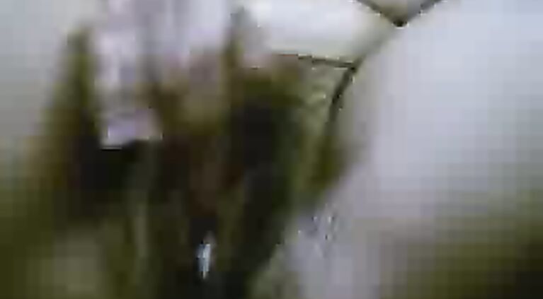 pussy rubbing her boobs against the mans body giving horny expressions in this MMS